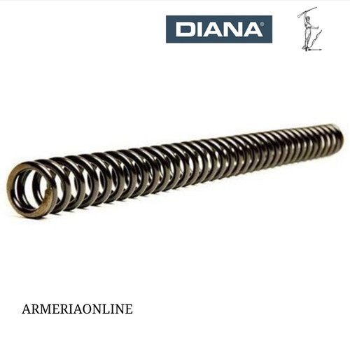 Molla per carabina - carabina, diana