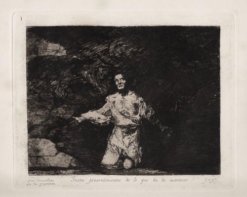 Francisco goya plate - francisco,