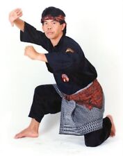rare PENCAK SILAT CURRICULUM