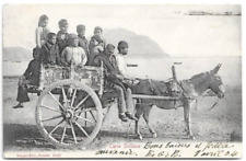 CARTOLINA DI PALERMO ,CARRO SICILIANO - Ed. STENGHEL &Co.  viaggiata 1904