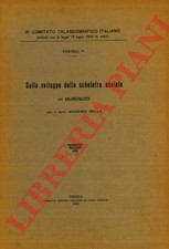 SELLA Massimo - Sullo sviluppo