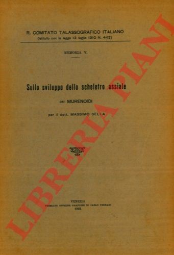 Sella massimo sullo - sella,