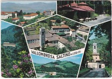 VALLOMBROSA SALTINO - FIRENZE