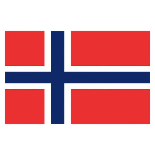 Bandiera norvegia cm - x,