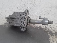 CANNA DELLO STERZO (PIANTONE)