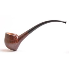 Pipa radica ser jacopo - pipa,