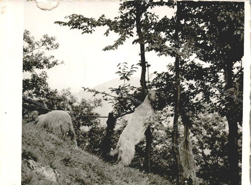 Ep191 cartolina paesaggio - cartolina,