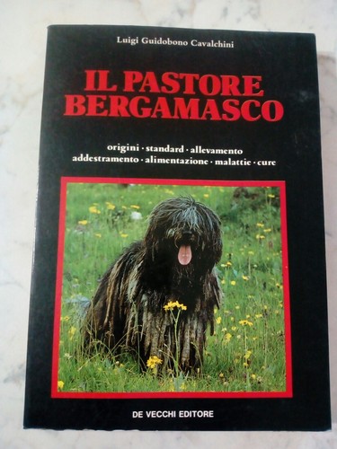 Pastore bergamasco - pastore,