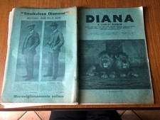 DIANA IL FIELD D' ITALIA