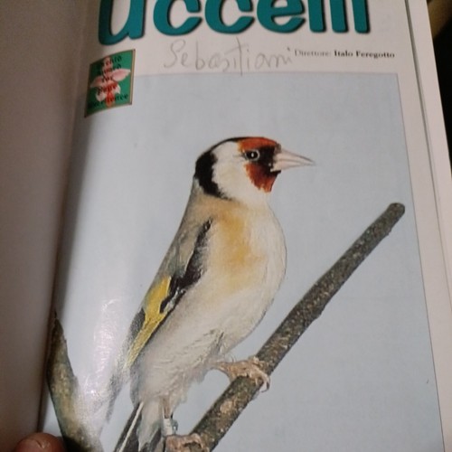 Rivista ornitologia uccelli - ornitologia,