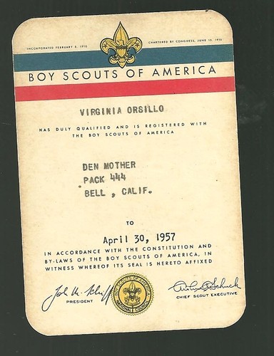 Carta identità boy scouts - d'identità,