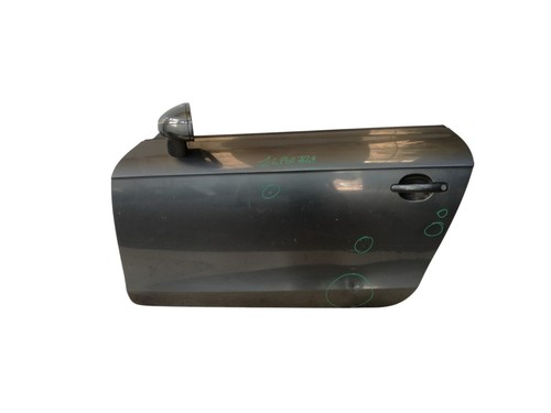 Porta portiera anteriore - porta,