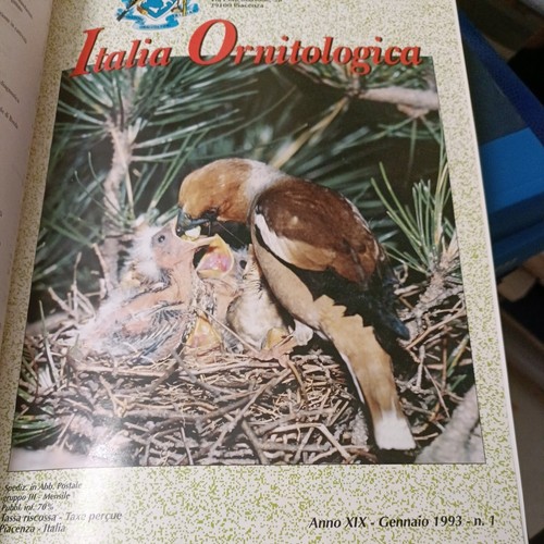 Italia ornitologica anno - , 1993