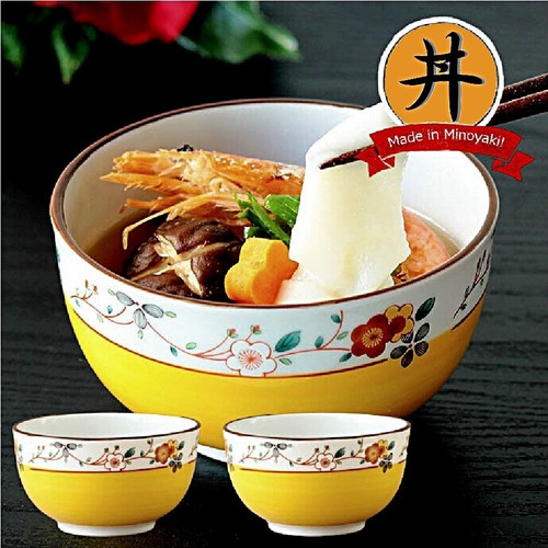 Ciotola giapponese donburi - ciotola,