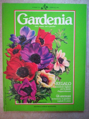 Gardenia rivista febbraio - gardenia,
