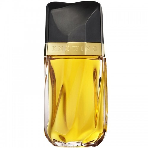 Estée lauder knowing eau - knowing,