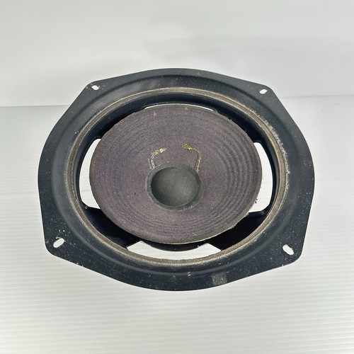 Grande altoparlante woofer