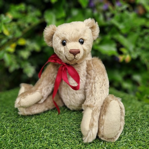 Orso oro pallido una volta - pallido,