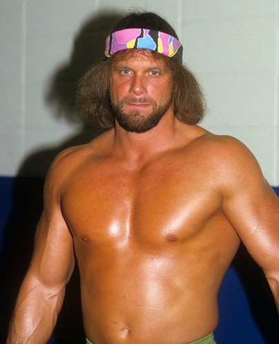 Wrestling superstars randy - superstars,