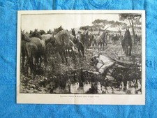 Esposizione nazionale a