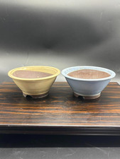 set di 2 piccoli vasi bonsai