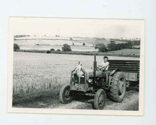 Uomo trattore agricoltura - uomo,