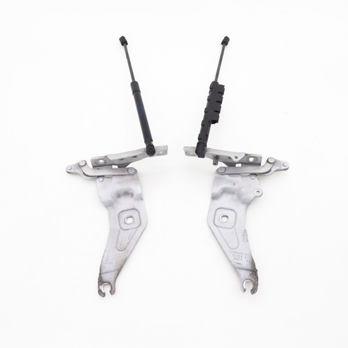 Cerniere cofano bmw e70 - cerniere, x5