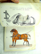 EQUITAZIONE BARDATURA CAVALLI CUOIO PELLETTERIA CATALOGO A.REJNA MILANO CARROZZA