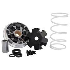 Variatore Malossi Multivar per