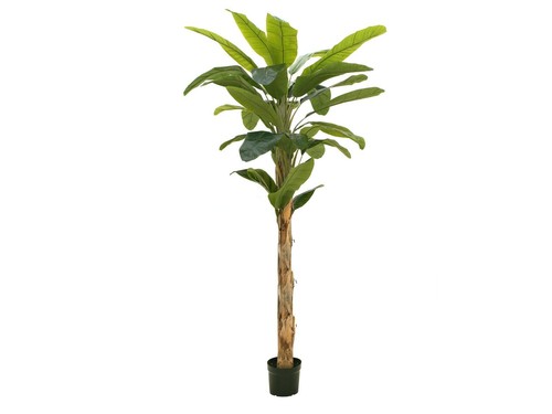 Europalms banano artificiale - europalms,