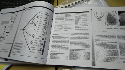 Elementi biologia - elementi, di