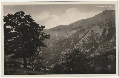 Abetone serrabassa pistoia - -,