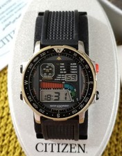 Citizen Windsurfing Gold 90's