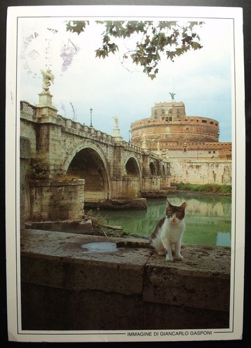 Cartolina roma castel - cartolina,