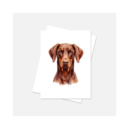 Doberman dobie dog notecard - dobie,