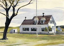 Albero morto e lato casa