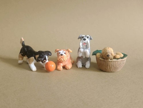 Border collie bulldog - collie,,