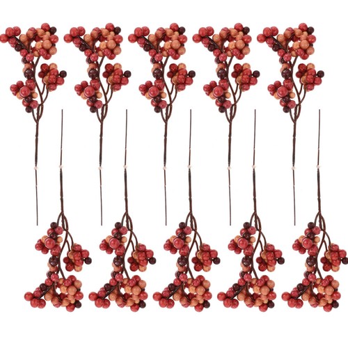 Pezzi ramo fiori bacche - ramo, di