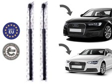 Pistoncini Apertura Vano