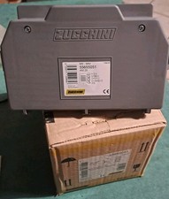 BTI Zucchini 5565505 SB5/6/MRF