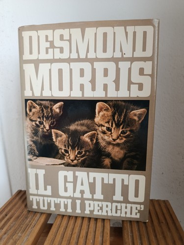 Gatto tutti perchè - il,