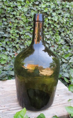 Bicchiere forestale del