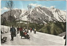 ZAMBLA ALTA - BERGAMO - VERSO I CAMPI DI SCI - VIAGG. -73257-