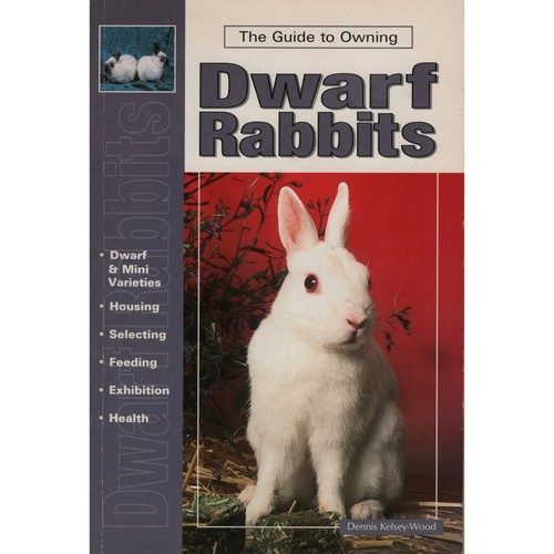 Dwarf rabbits pet - dwarf, owners