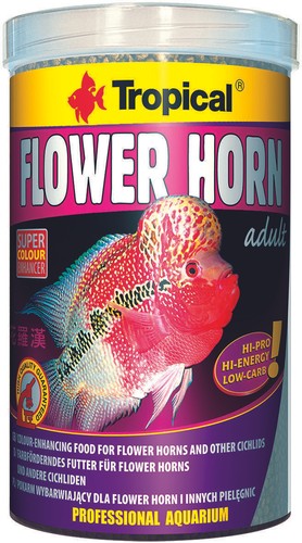 Tropical flower horn adult - flower,