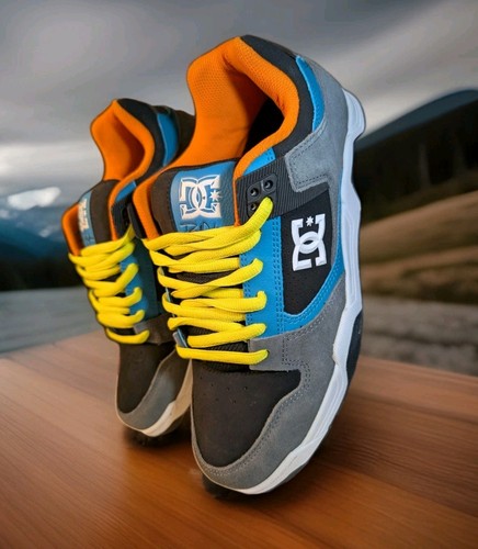 2012 shoes rob dyrdek - dc,