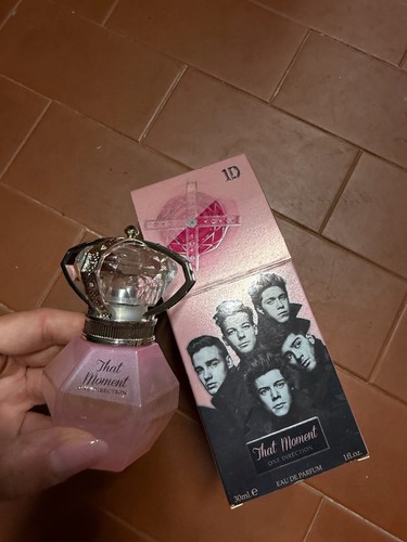 One direction that moment - one,