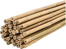 50 Canne di Bamboo per orto