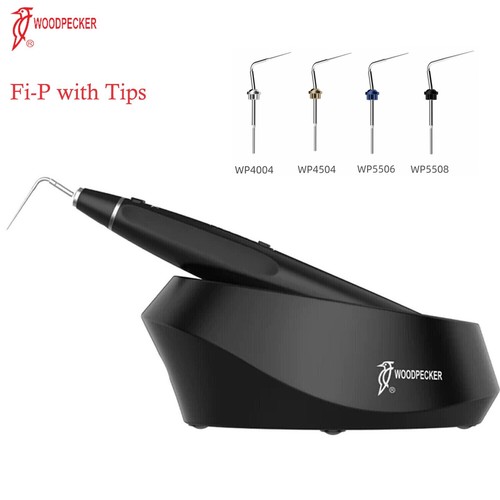 Woodpecker endo sistema - fi-p,