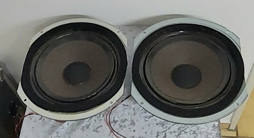 Woofer inglese cm - woofer,
